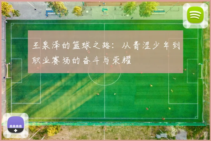 王泉泽的篮球之路：从青涩少年到职业赛场的奋斗与荣耀