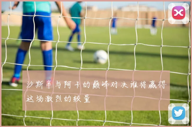 沙斯辛与阿卡的巅峰对决谁将赢得这场激烈的较量