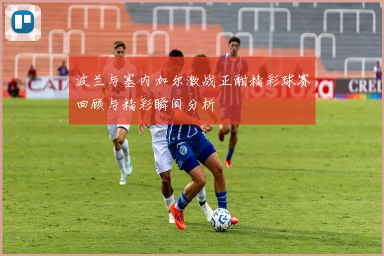 波兰与塞内加尔激战正酣精彩球赛回顾与精彩瞬间分析