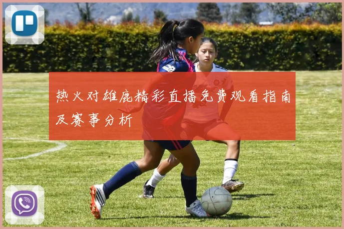 热火对雄鹿精彩直播免费观看指南及赛事分析