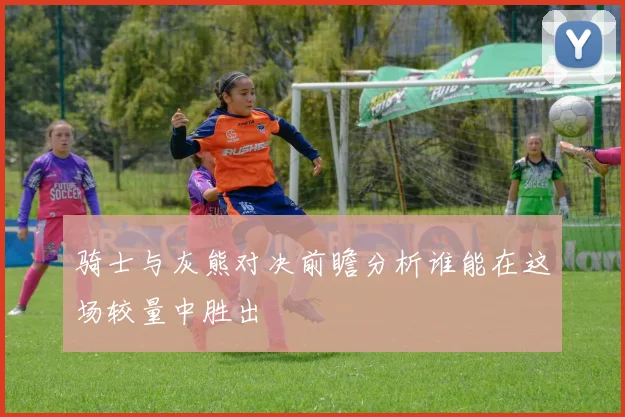 骑士与灰熊对决前瞻分析谁能在这场较量中胜出
